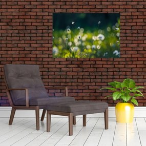 Tablou - Iarbă (90x60 cm)