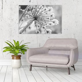 Tablou - Floare în timpul iernii (90x60 cm)