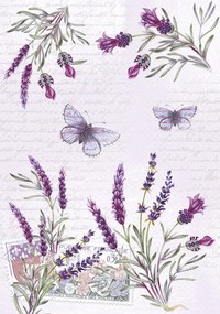 Colorat Butterfly Mapa A/4 cu elastic Levănțică