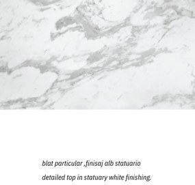 MASA DAISY -STICLA CERAMICA CU PICIOR  METALIC - PIATRA NEAGRA