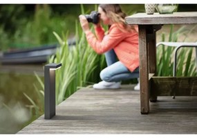Lampă LED de exterior Philips BUSTAN LED/3,8W/230V 77 cm IP44