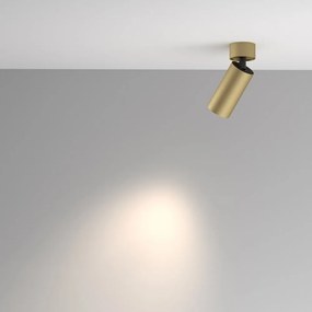 Spot aplicat directionabil stil modern minimalist Artisan auriu mat