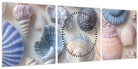 Tablou - Colecție de scoici (cu ceas) (90x30 cm)