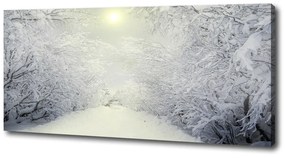 Pictură pe pânză Pădure de iarnă frumos