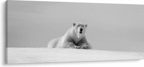 Tablou - Ursul polar (120x50 cm)