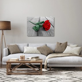 Tablou pe sticlă - Trandafir roșu cu tulpină verde (70x50 cm)