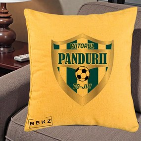 Perna Personalizata Pandurii Targu Jiu Fotbal, 40x40 cm, Galben, Husa Detasabila, Perna Inclusa, BEKZ®