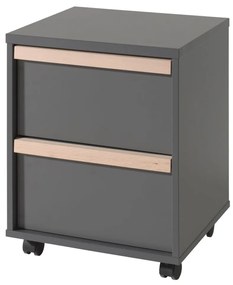 442728 Vipack Dulap mobil „London”, 2 sertare, antracit, lemn