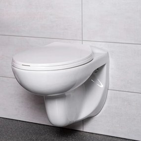 Set rezervor WC montat pe perete Roya Doris 21W