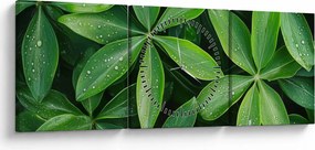 Tablou - Frunze cu picături de rouă (cu ceas) (90x30 cm)
