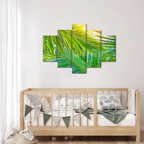 Tablou - Frunze de palmier (150x105 cm)