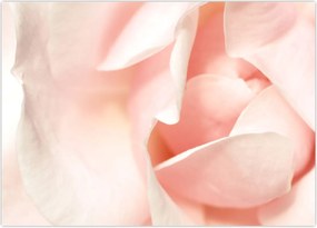 Tablou - Trandafiri (70x50 cm)