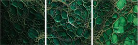 Tablou - Imagine microscopică verde (cu ceas) (90x30 cm)