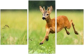 Tablou - Haită (90x60 cm)