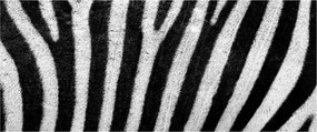 Tablou cu piele de zebră (120x50 cm)
