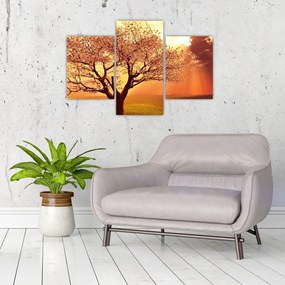 Tablou cu razele lui Dumnezeu (90x60 cm)