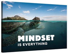 Mindset is everything (Turtle)
