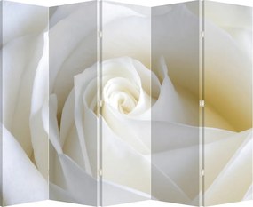Paravan - Trandafir alb (210x170 cm)