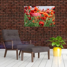 Tablou din câmp cu maci (90x60 cm)
