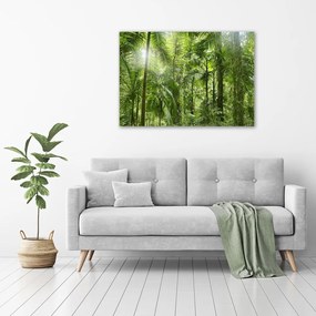 Tablou pe pânză Padure tropicala