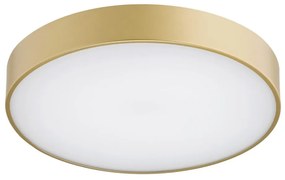 Plafoniera LED design modern Tiamo auriu