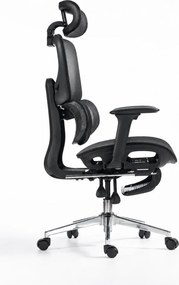 ErgoVanta Mesh — Scaun ergonomic, Suport lombar reglabil, Tetieră 2D, Cotiere reglabile, Mecanism cu blocare, Suport pentru picioare retractabil, Mesh, Negru