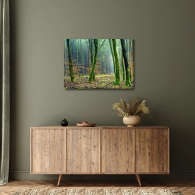 Tablou cu pădure (70x50 cm)