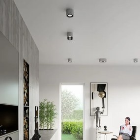 Plafonieră BASICv AR111 1xGU10/40W/230V beton