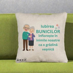 Cadou pentru Bunici - Perna Personalizata Bunicii Iubirea Infloreste Cuplu Senior Teal, 40x40 cm, Bej Canapea, Husa Detasabila, Perna Inclusa, BEKZ®