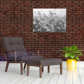 Tablou - Iarba în vânt (70x50 cm)