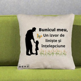 Cadou pentru Bunic - Perna Personalizata Bunicul Meu Izvor de Liniste cu Fluture si Fetita, 40x40 cm, Bej Canapea, Husa Detasabila, Perna Inclusa, BEKZ®