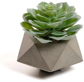 Floare artificială Echeveria Glaucha Kave Home