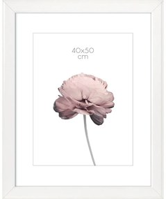 Ramă foto pentru fotografii Styler Malmo, 47 x 57 cm, alb