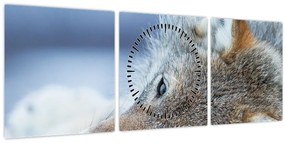 Tablou - Lup (cu ceas) (90x30 cm)