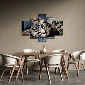 Tablou - Pisoi (150x105 cm)