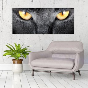Tablou - Close up portret de o pisică (120x50 cm)