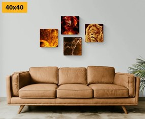 Set tablouri animale abstracte
