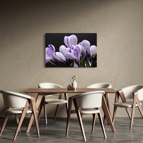 Tablou - Crocus violet (90x60 cm)
