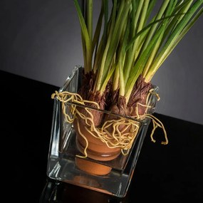 Aranjament floral mic decor festiv design LUX ETERNITY CUBO MUSCARI IN COTTO