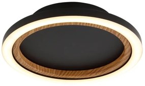 Globo 67356D - Plafonieră LED DAKARI I LED/12W/230V, lumină caldă 3000K, Ø 20,5 cm