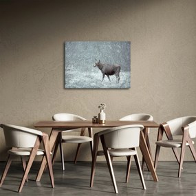 Tablou - Elan într-o pădure înzăpezită (70x50 cm)