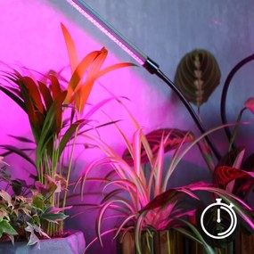 Lampă LED reglabilă cu clemă pentru plante VITARO 4xLED/10W/230V negru