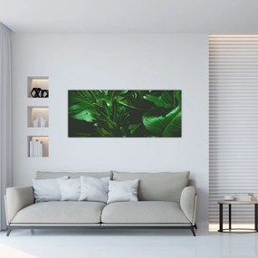 Tablou - Frunze de palmier (120x50 cm)