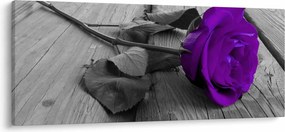 Tablou - Trandafir violet cu tulpina verde (120x50 cm)