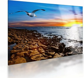 Tablou pe sticlă - Pescărușul zboară deasupra coastei (70x50 cm)
