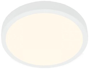 Plafonieră LED Briloner 3703-016 RUNA LED/24W/230V 3000K d. 38 cm alb