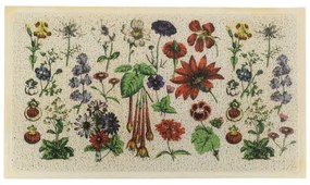 Covoraș de intrare 40x70 cm Botanicals – Artsy Doormats