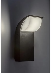 Aplică LED de exterior HONGKONG LED/9W/230V IP65 Rabalux 7166