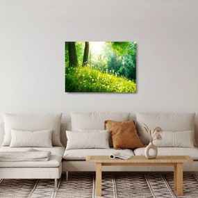 Tablou pe sticlă - Pajiște magică plină de păpădii (70x50 cm)