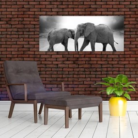 Tablou cu elefanți (120x50 cm)